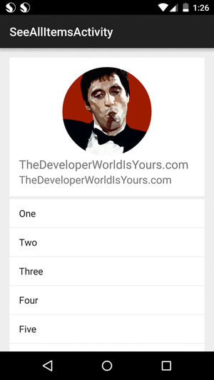 http://thedeveloperworldisyours.com/